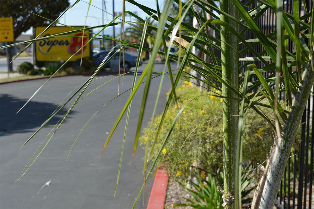 Super 8 by Wyndham Salinas Motel Bagian luar foto